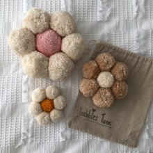 Pom Pom Daisies Pack